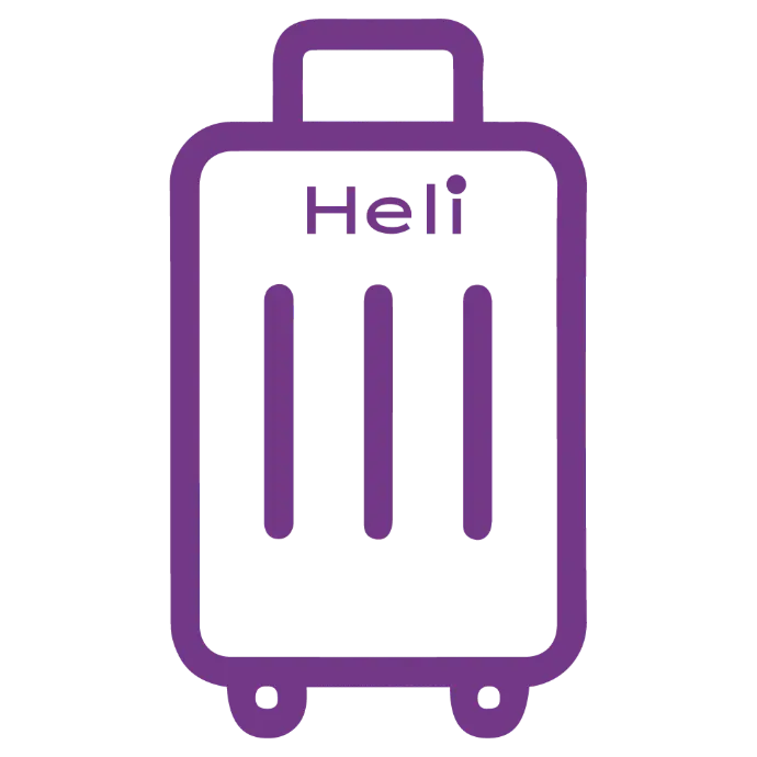 vali icon