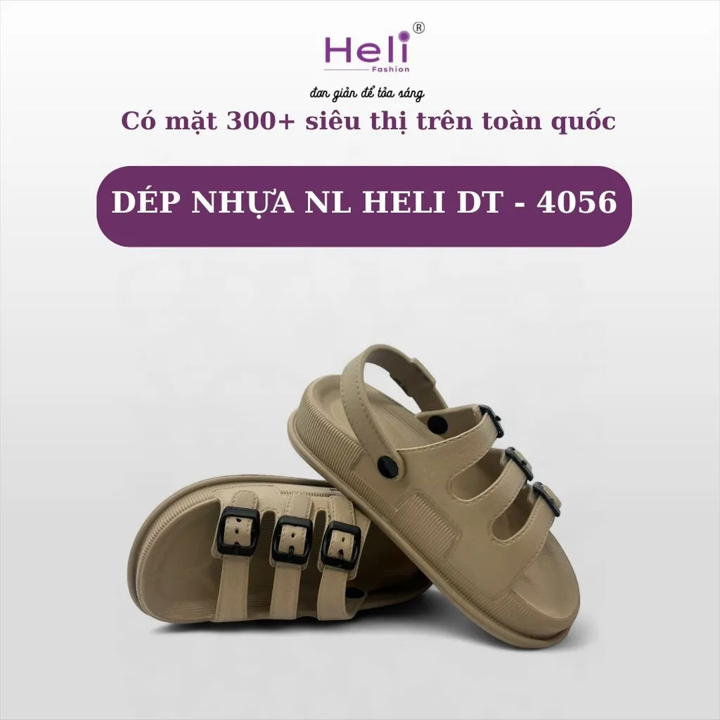 205582.webp