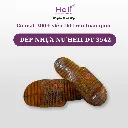 DÉP NHỰA NỮ HELI DT 3542 (7).webp